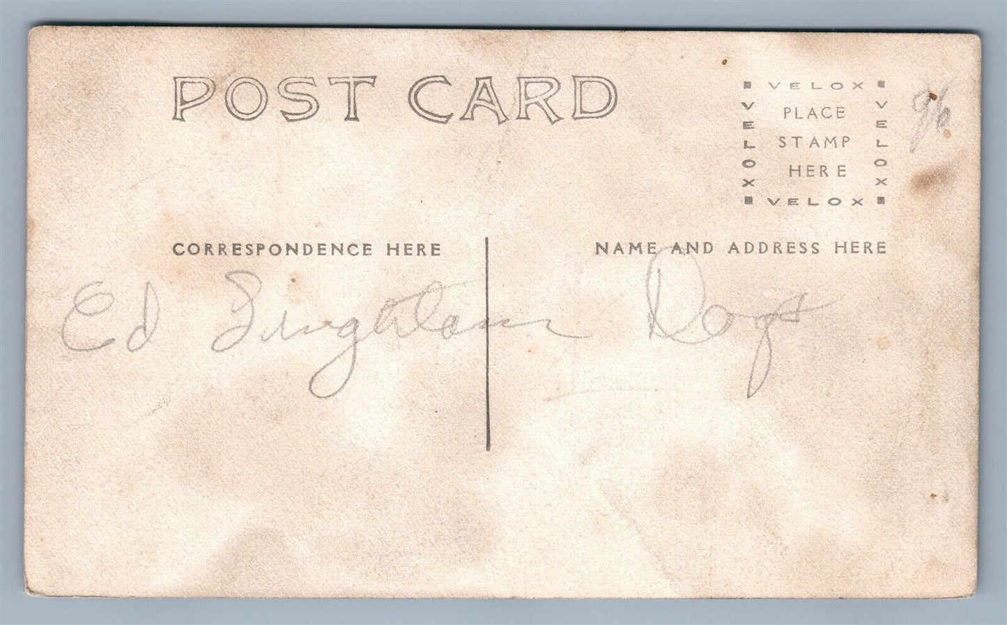 DOG FEEDING PUPPIES VILLAGE SCENE ANTIQUE REAL PHOTO POSTCARD RPPC