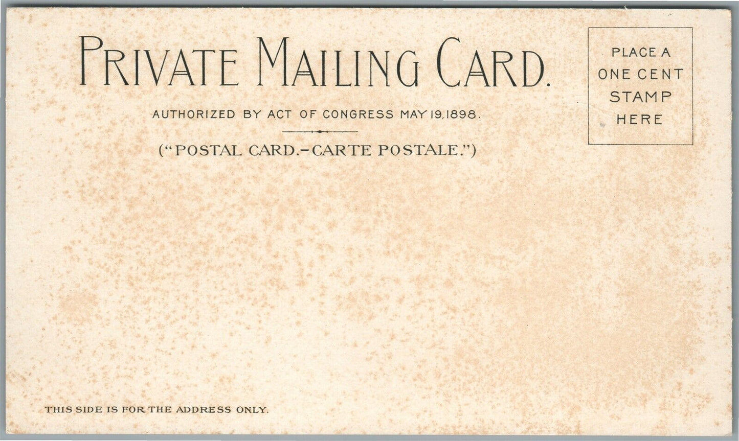 BUFFALO NY PAN AMERICAN EXPO ANTIQUE PRIVATE MAILING POSTCARD ethnology building