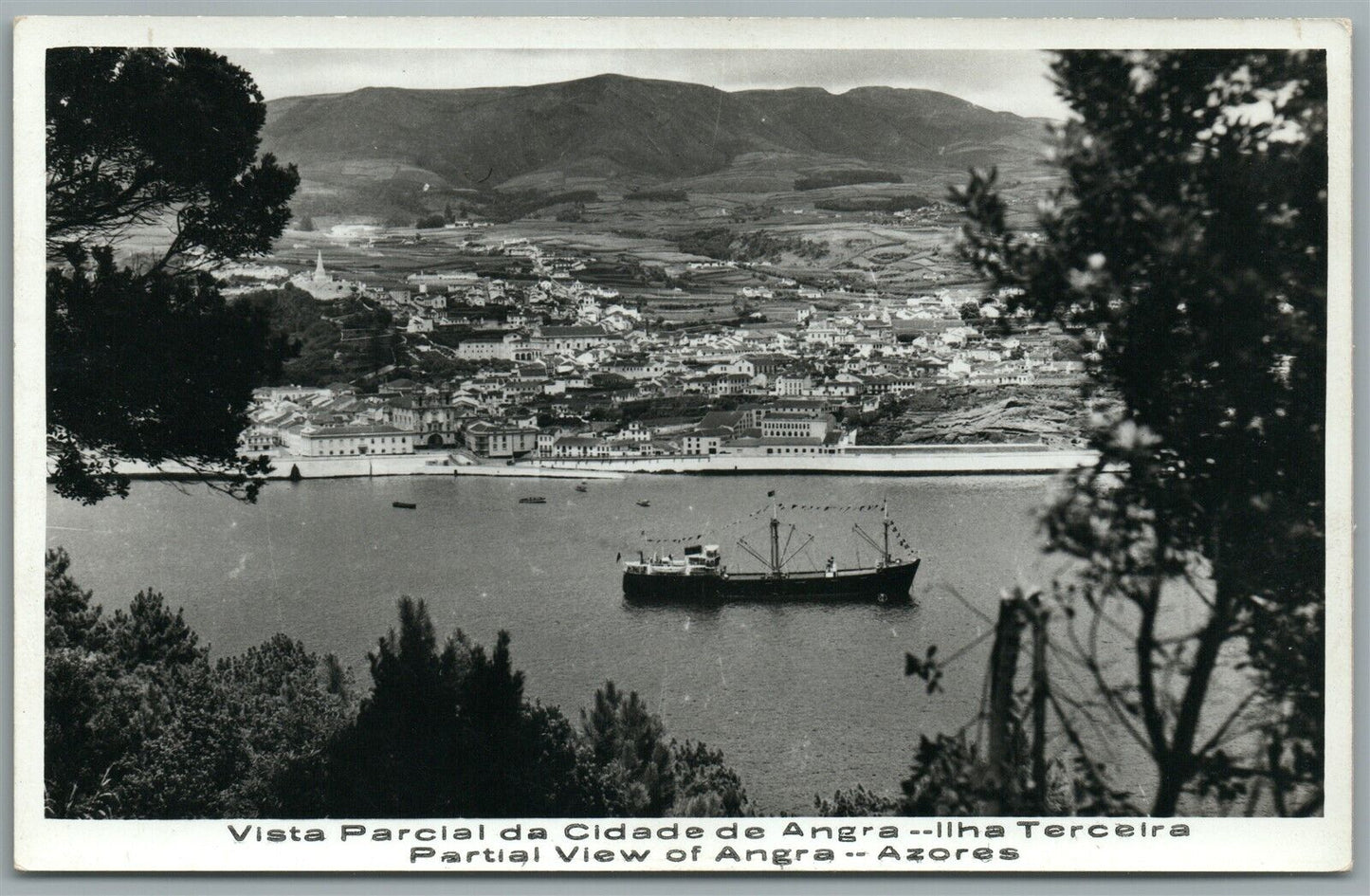AZORES TERCEIRA ANGRA VIEW VINTAGE REAL PHOTO POSTCARD RPPC
