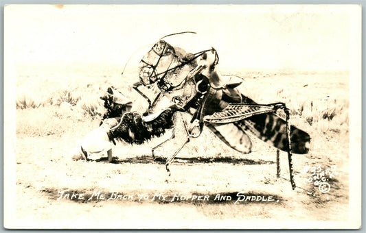 EXAGGERATED GRASSHOPPER w/ SADDLE VINTAGE REAL PHOTO POSTCARD RPPC