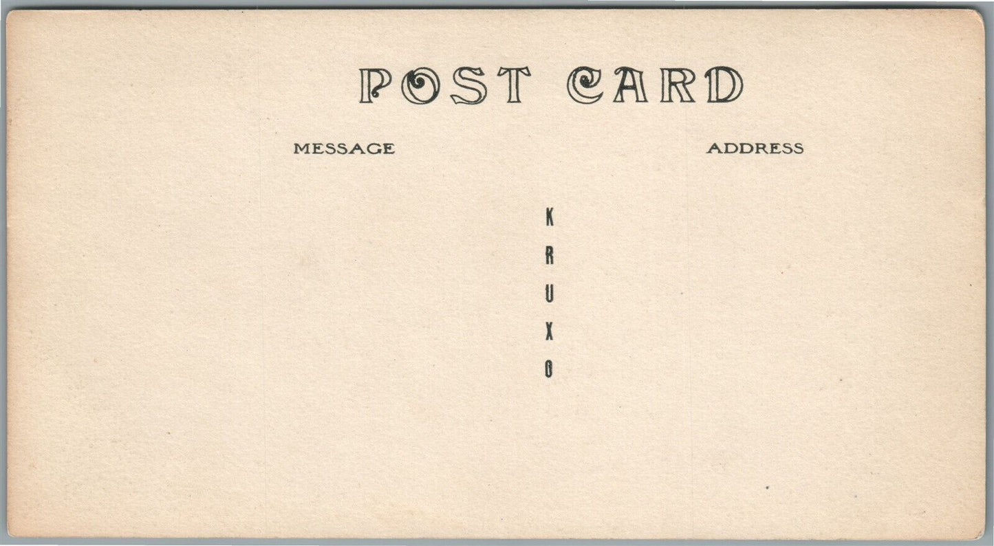 MANCHESTER VT EQUINOX HOUSE ANTIQUE REAL PHOTO POSTCARD RPPC