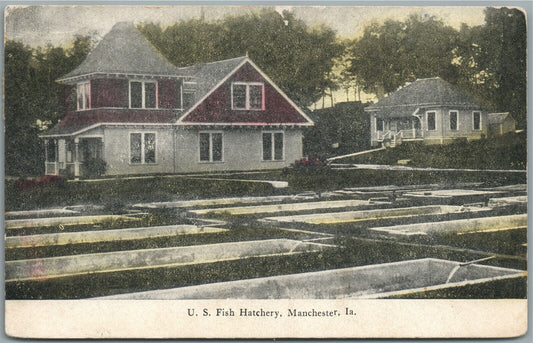 MANCHESTER IA US FISH HATCHERY ANTIQUE POSTCARD
