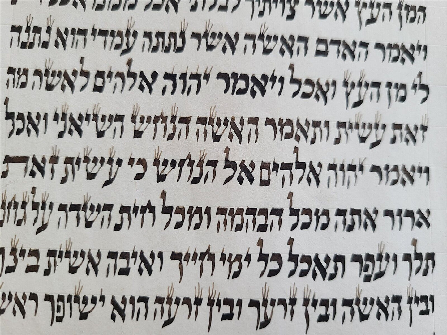 TORAH SCROLL FRAGMENT MANUSCRIPT on VELLUM ANTIQUE BIBLE GENESIS 1:2-5:19