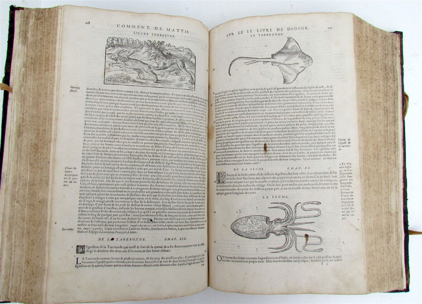 1579 MATTHIOLE COMMENTARIES ILLUSTRATED PLANTS ANIMALS antique 16th cent. FOLIO