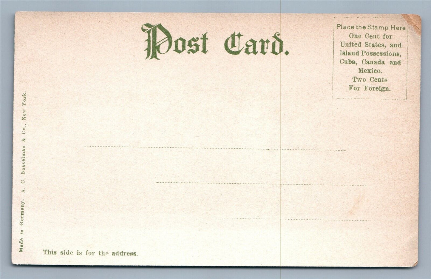 FITZWILLIAM NH MONADNOCK & GAP MTS REID'S RESIDENCE ANTIQUE POSTCARD