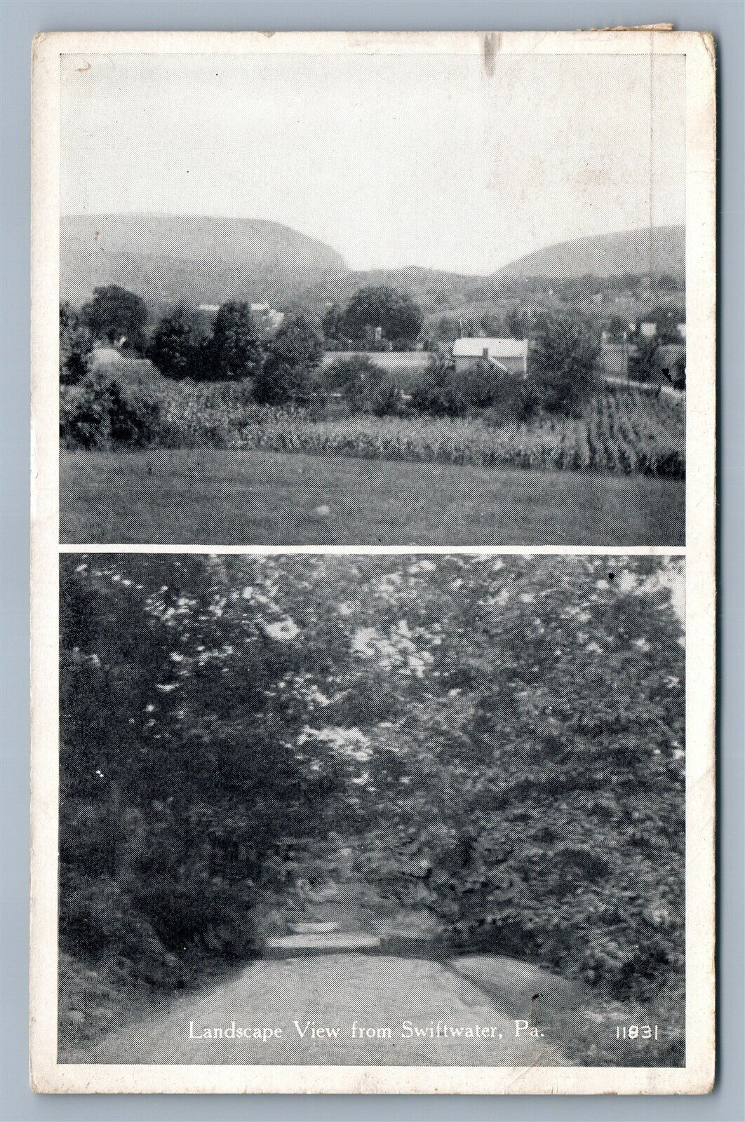 SWIFTWATER PA LANDSCAPE 1925 ANTIQUE POSTCARD