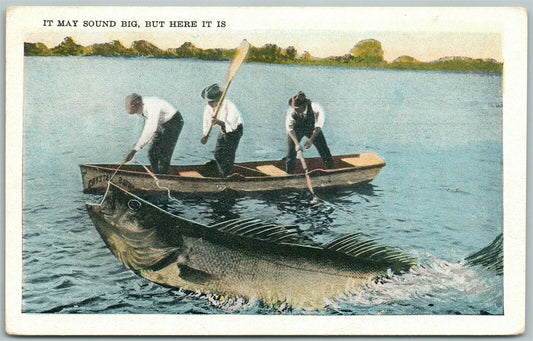 EXAGGERATED FISHING ANTIQUE POSTCARD IT MAY SOUND BIG BUT HERE IT IS