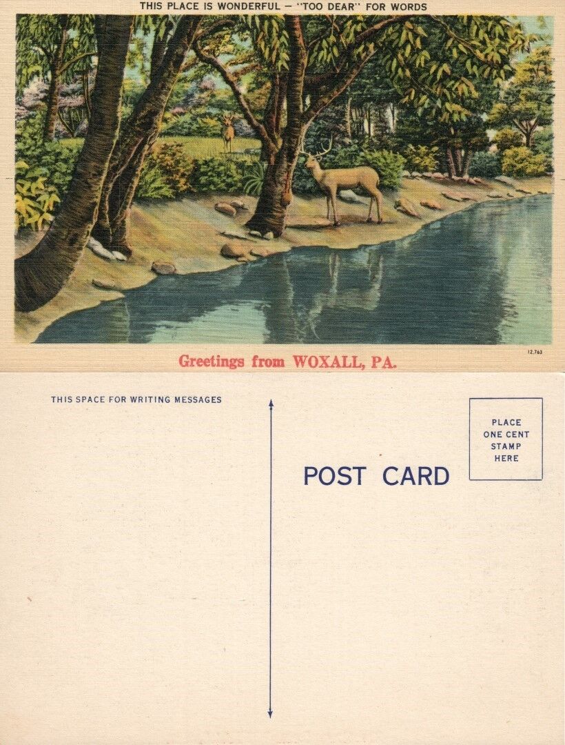 GREETINGS FROM WOXALL PA VINTAGE POSTCARD w/ DEER