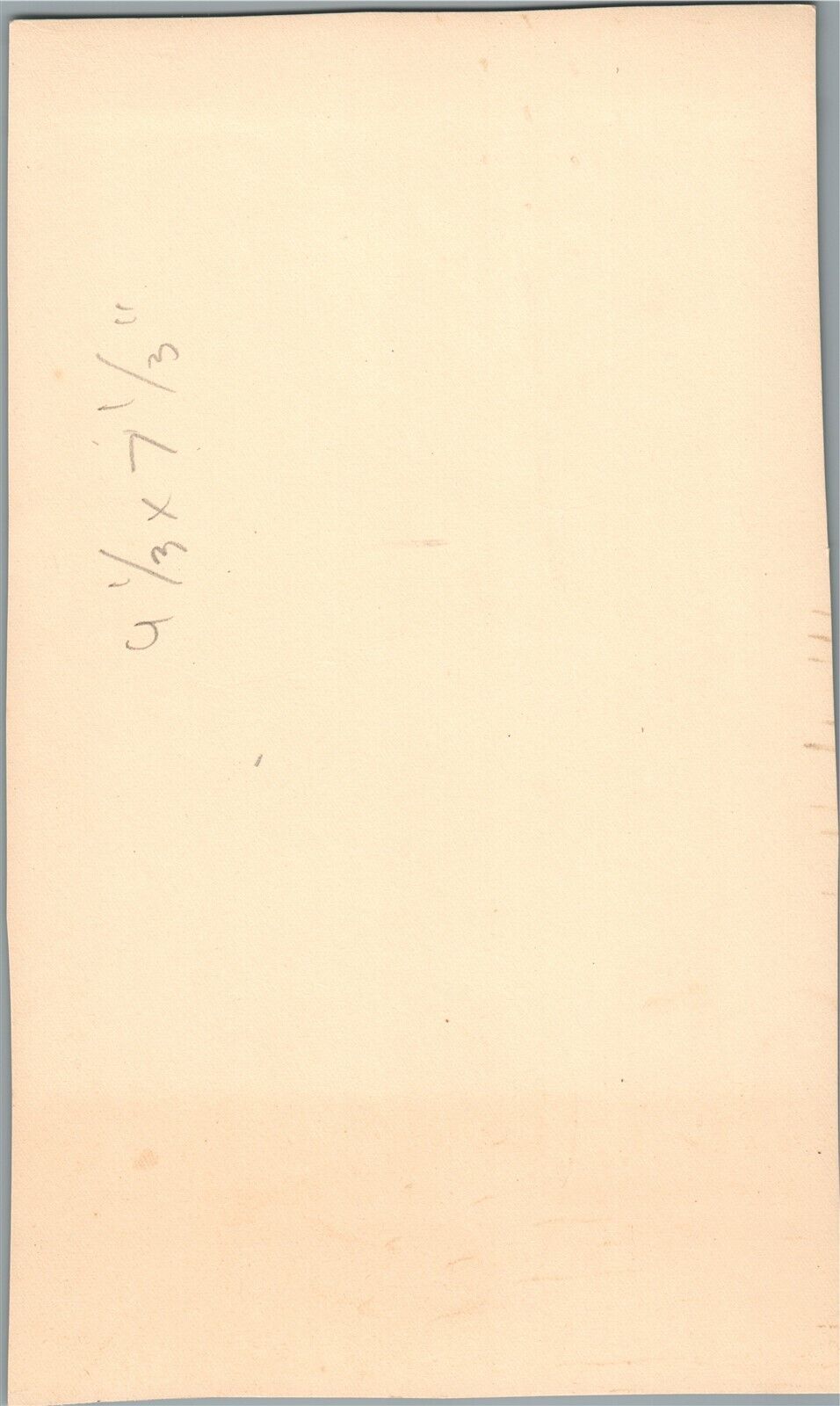 LITTLE GIRL w/ TOY BEAR ANTIQUE PHOTO