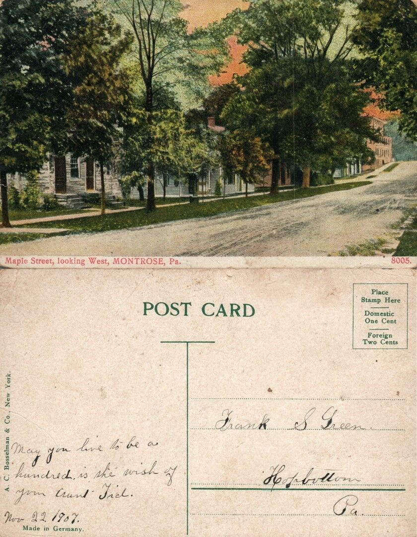 MONTROSE PA MAPLE STREET 1907 ANTIQUE POSTCARD