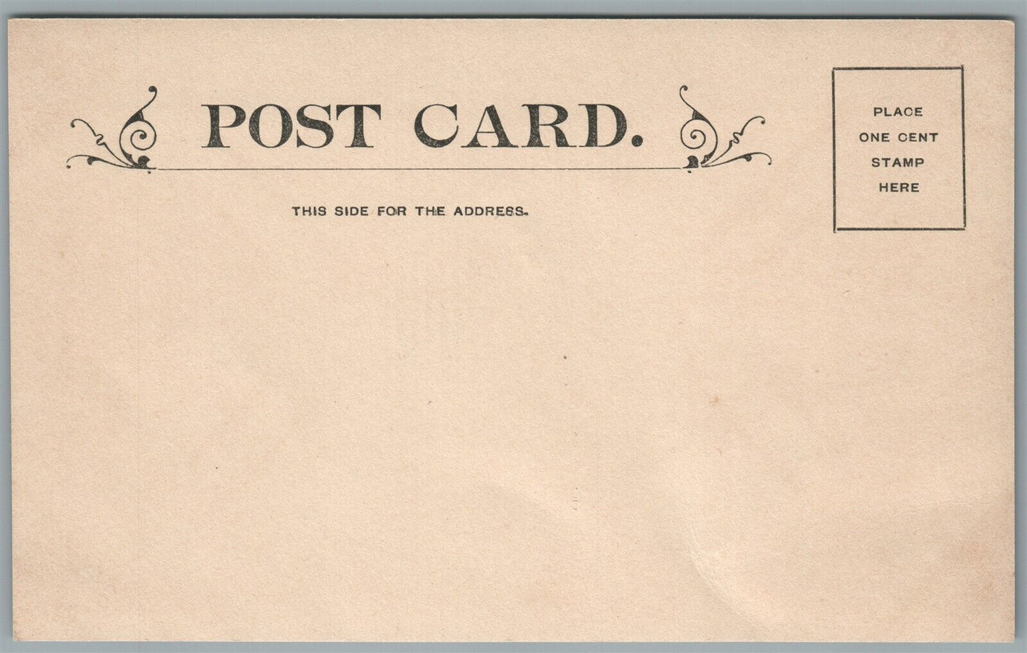 PALMER MA FOREST LAKE ANTIQUE REAL PHOTO POSTCARD RPPC