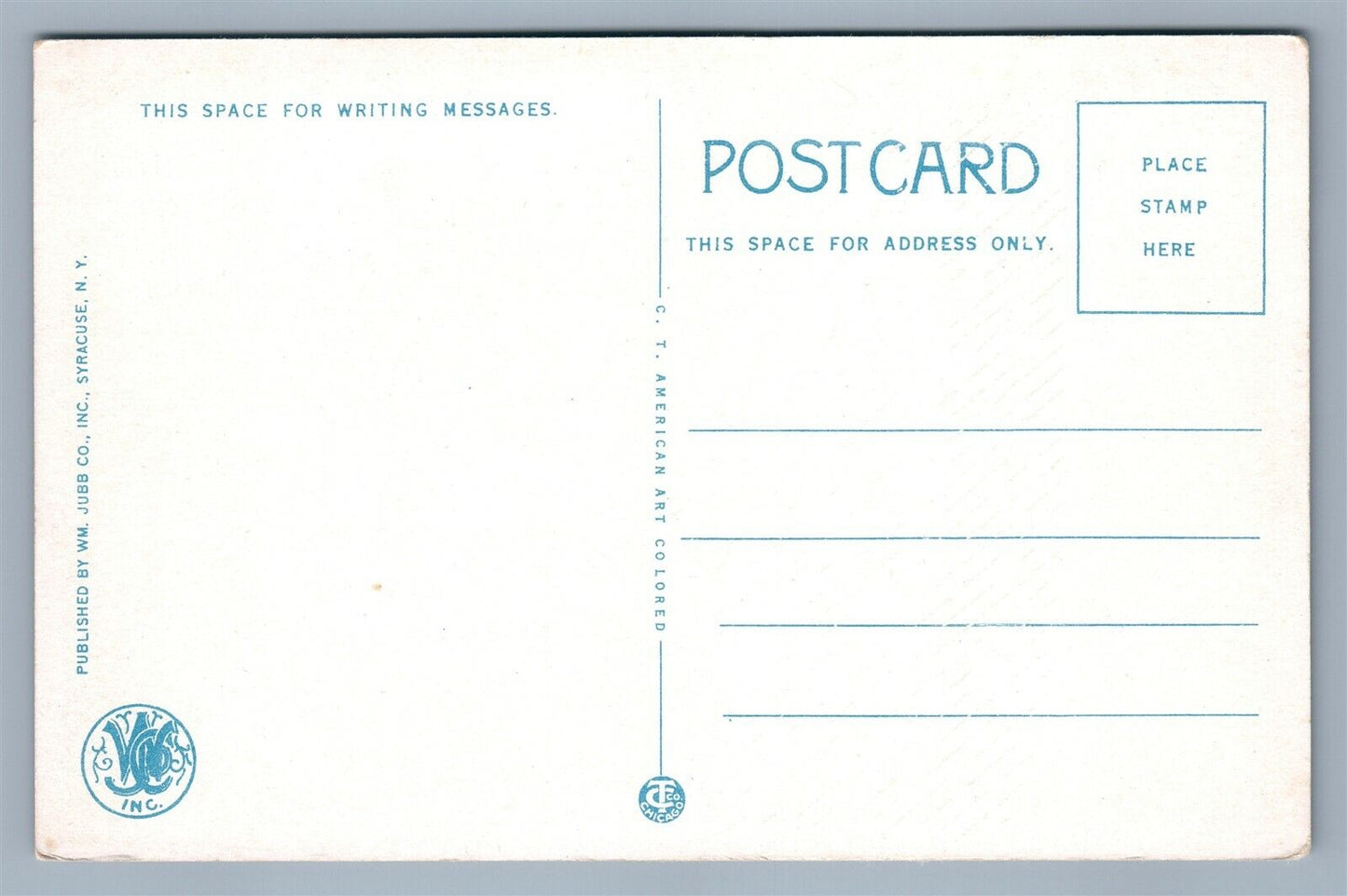 CARTHAGE NY STATE BRIDGE ACROSS BLACK RIVER ANTIQUE POSTCARD