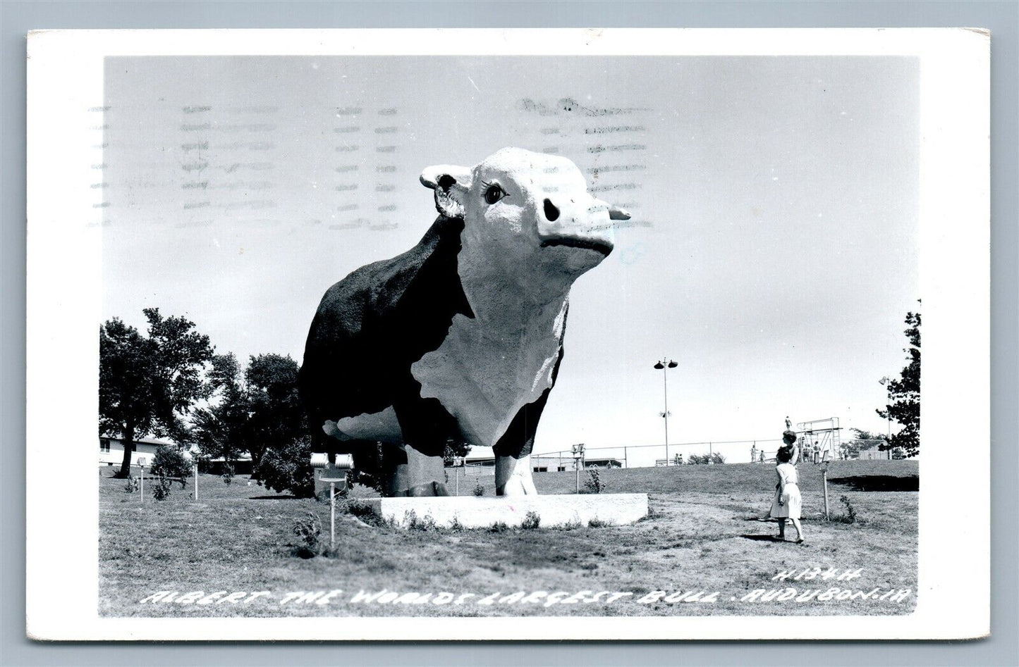 AUDUBON IA WORLD'S LARGEST BULL ALBERT 1985 VINTAGE REAL PHOTO POSTCARD RPPC