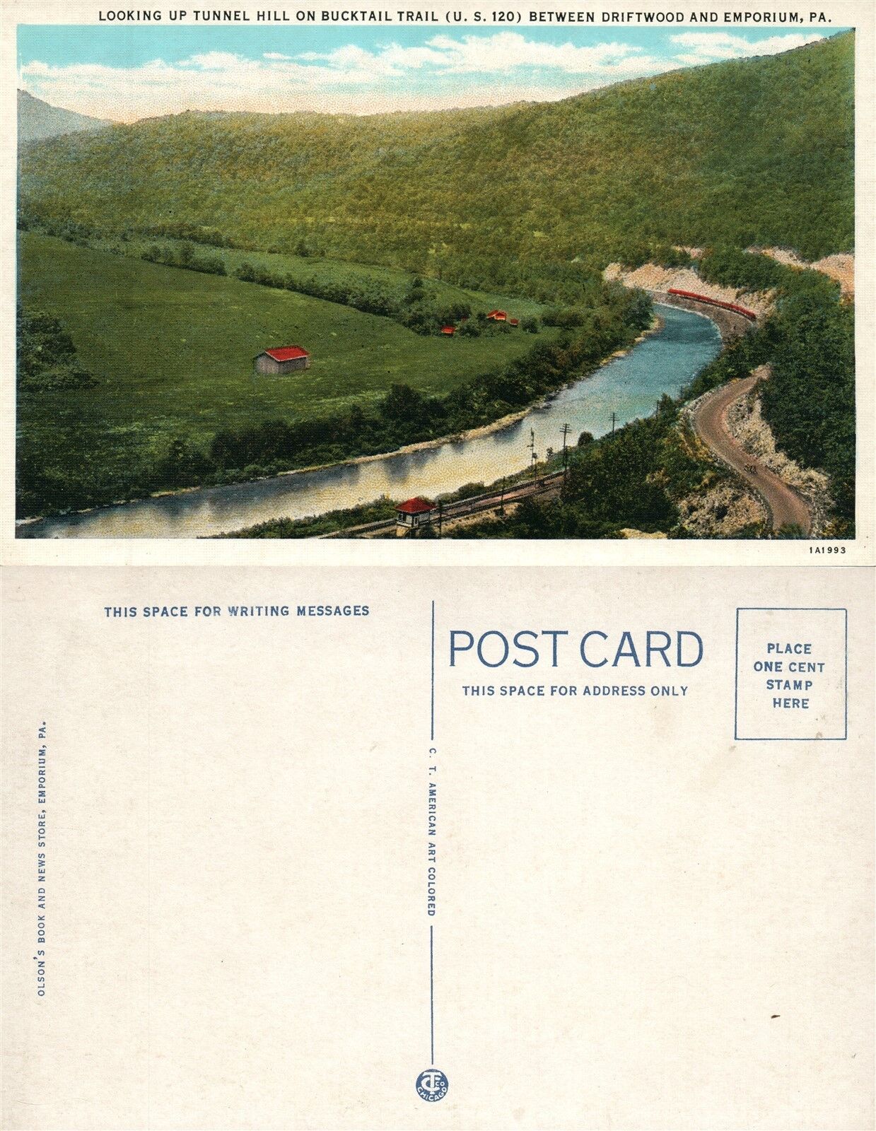 DRIFTWOOD & EMPORIUM PA BUCKTAIL TRIAL TUNNEL HILL VINTAGE POSTCARD