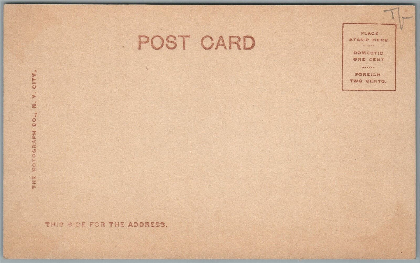 KITTEN w/ BREAD ANTIQUE REAL PHOTO POSTCARD RPPC