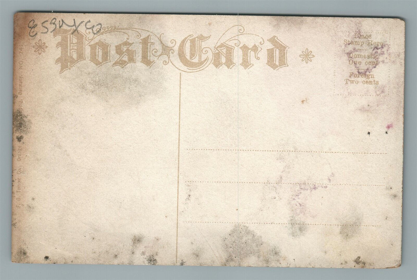 EAST ORANGE NJ PARK LILY POND ANTIQUE POSTCARD