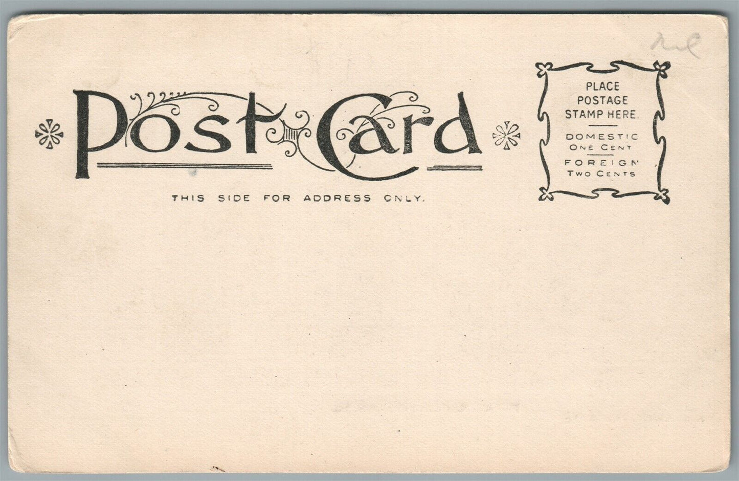 BROWNSTOWN PA PUBLIC SCHOOLS ANTIQUE POSTCARD