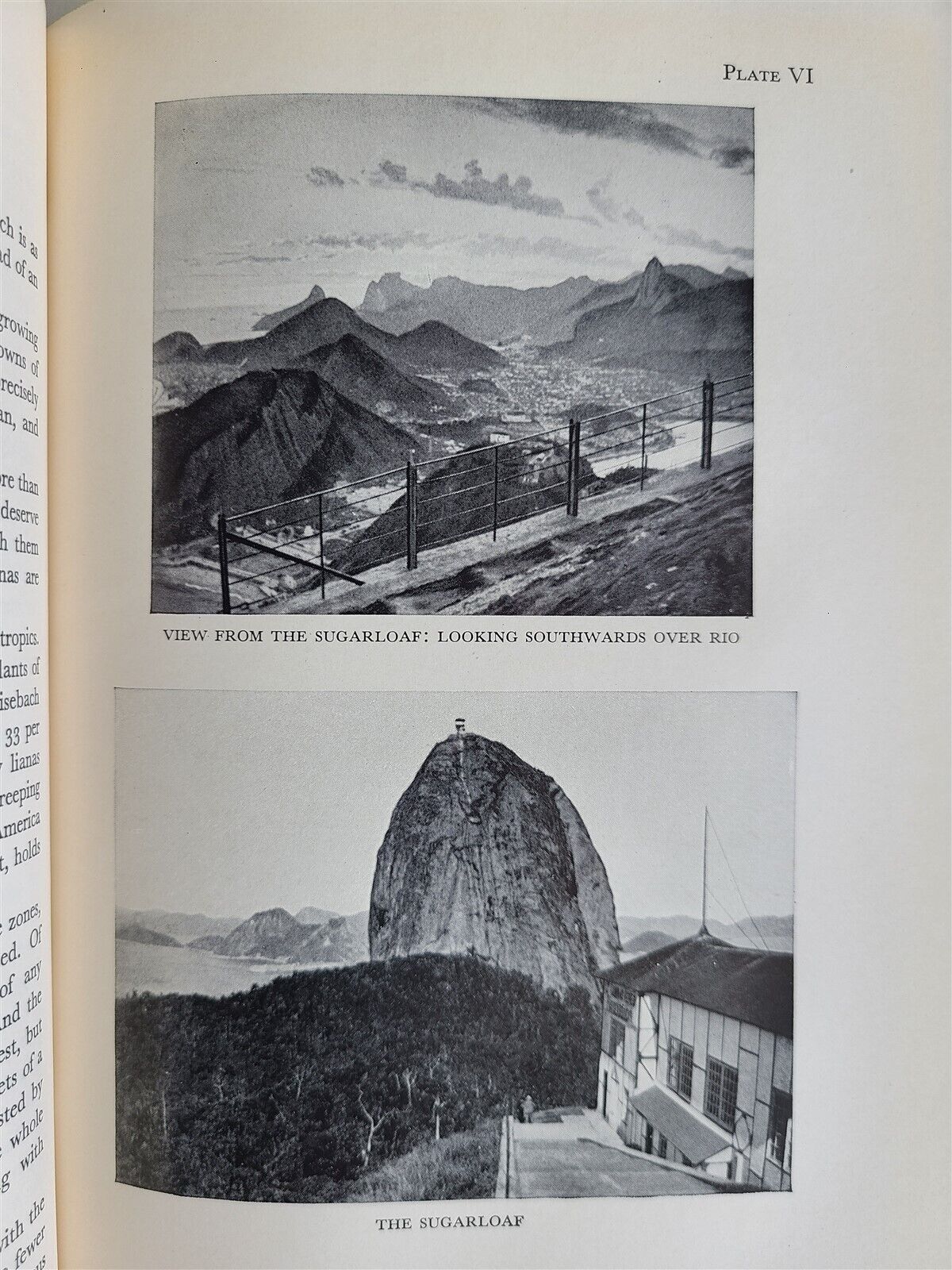 1931 A NATURALIST in BRAZIL by KONRAD GUENTHER vintage ILLUSTRATED