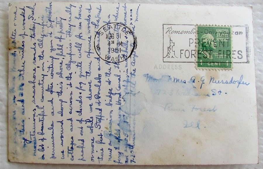 1951 RPPC HIGHWAY ALONG HOOD CANAL WASHINGTON REAL PHOTO POSTCARD