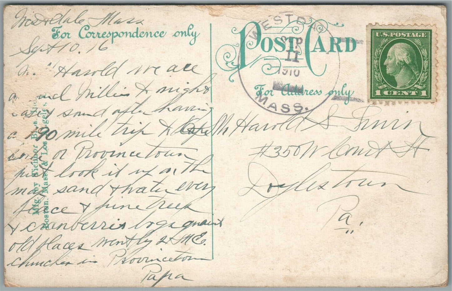 PROVINCETOWN MA FROM PILGRIM MONUMENT ANTIQUE POSTCARD