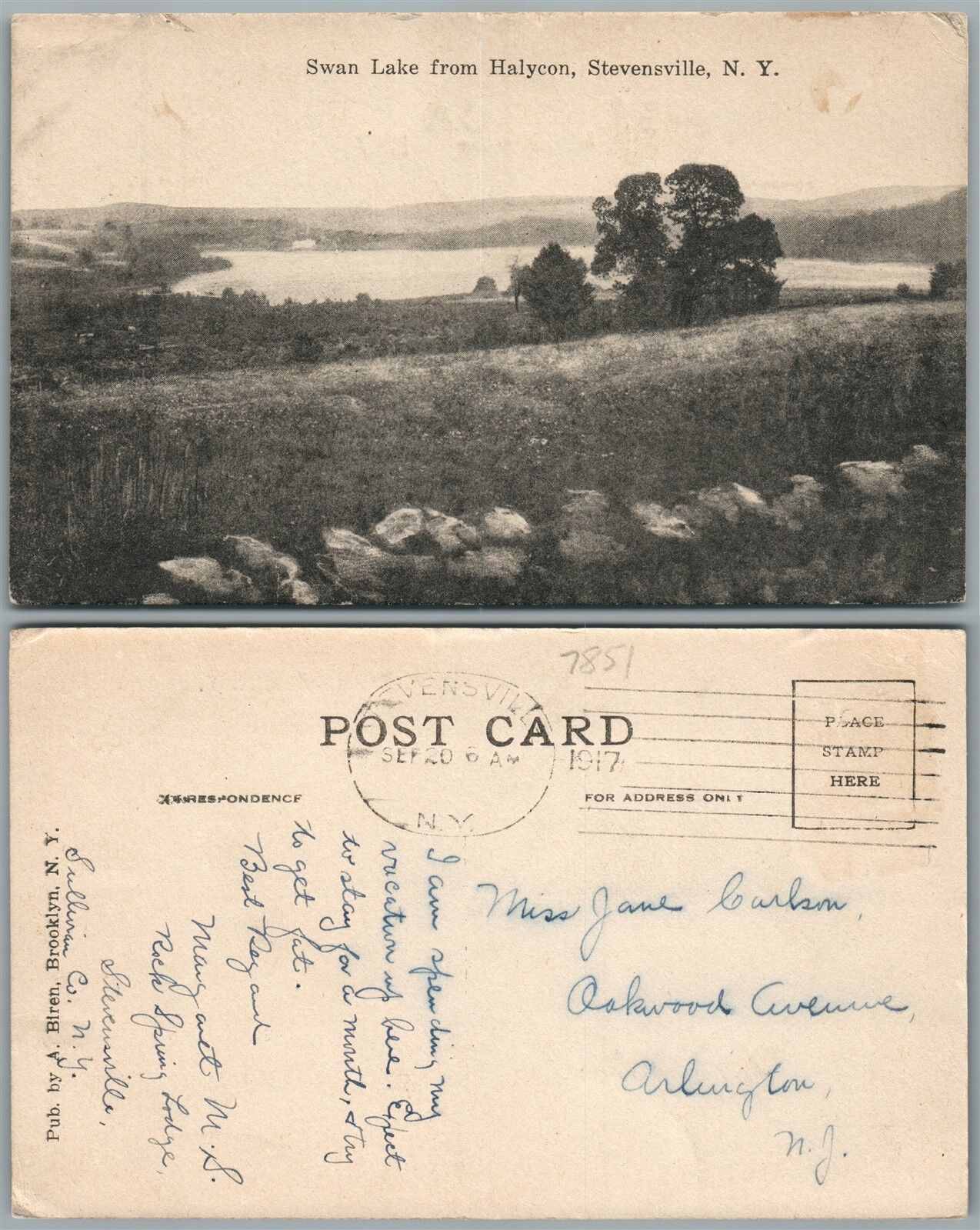 STEVENSVILLE N.Y. SWAN LAKE FROM HOLYCON 1917 ANTIQUE POSTCARD