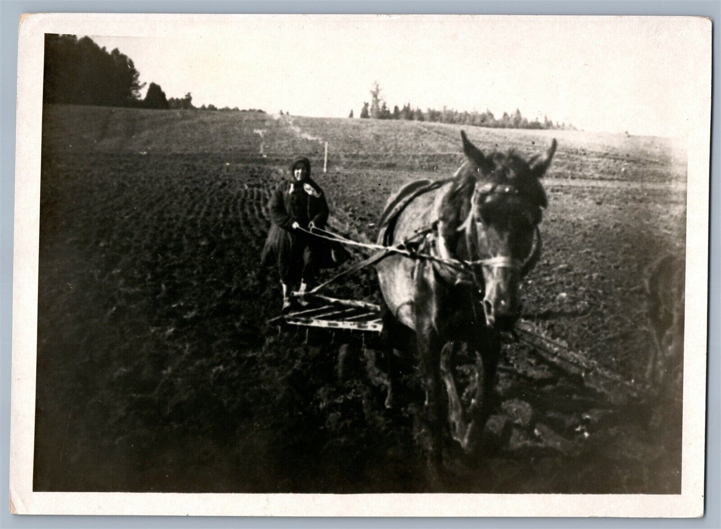 1930s RUSSIA FEMALE PLOUGHS w/ HORSE VINTAGE REAL PRESS PHOTO