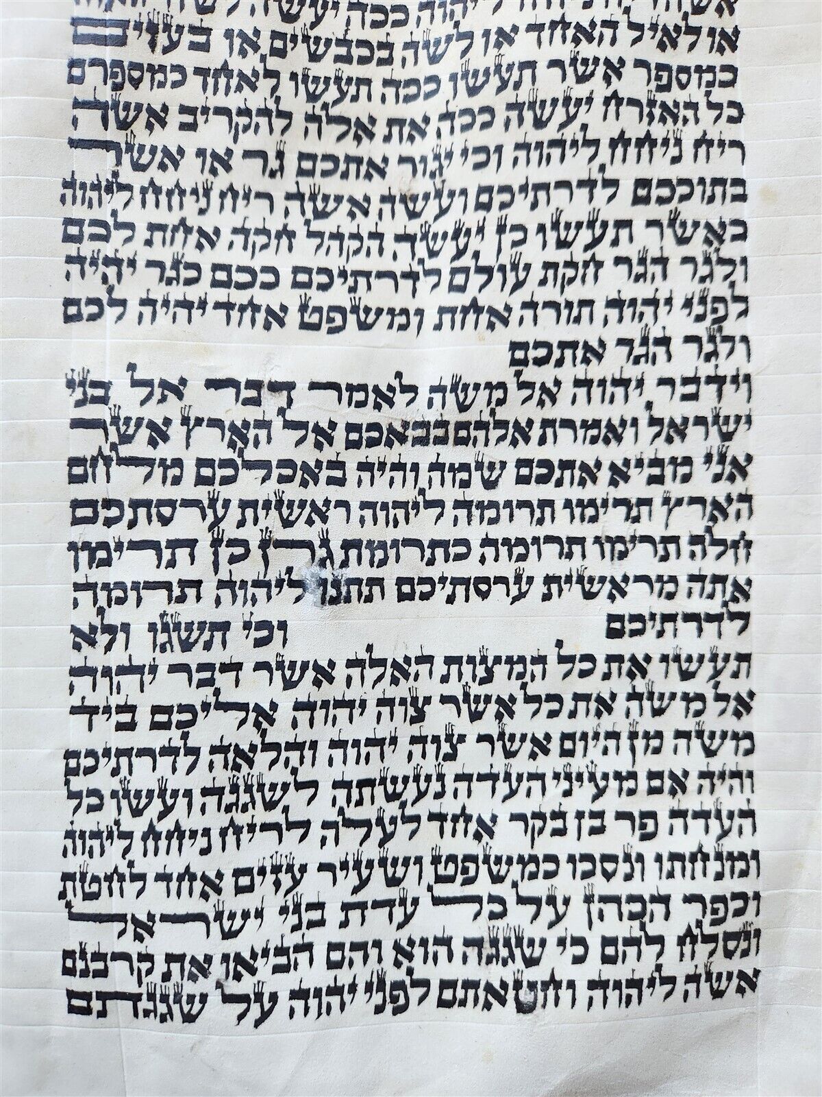 TORAH SCROLL FRAGMENT MANUSCRIPT on VELLUM antique BIBLE NUMBERS 14:45-16:25