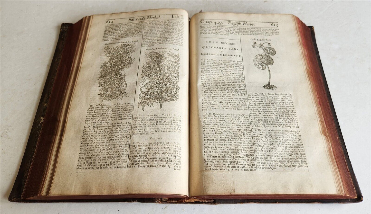 1710 BOTANOLOGIA ENGLISH HERBAL antique ILLUSTRATED MASSIVE FOLIO