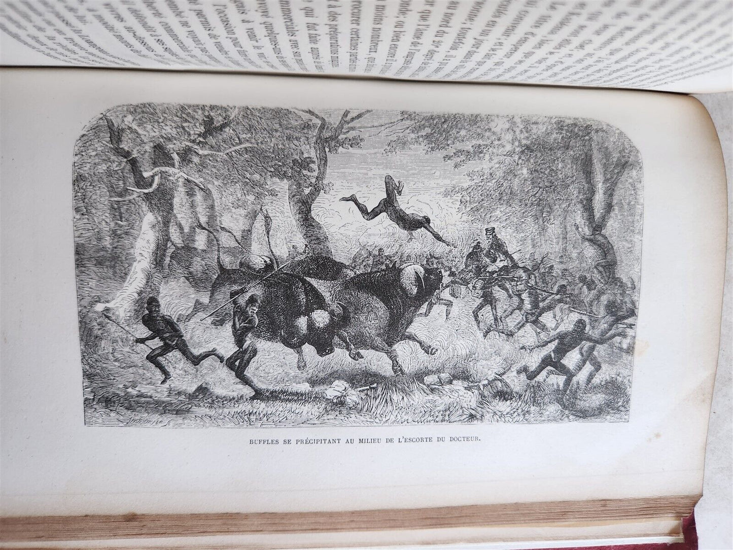 1859 EXPLORATIONS L'AFRIQUE et AUSTRALE LIVINGSTONE VOYAGES antique ILLUSTRATED