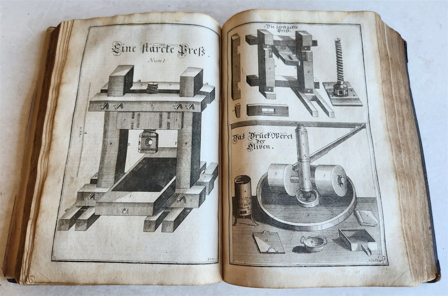1702 Oeconomus prudens ILLUSTRATED 2 FOLIO VOLUMES antique in GERMAN