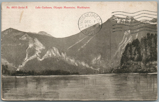 LAKE CUSHMAN WA OLYMPIC MOUNTAINS ANTIQUE POSTCARD