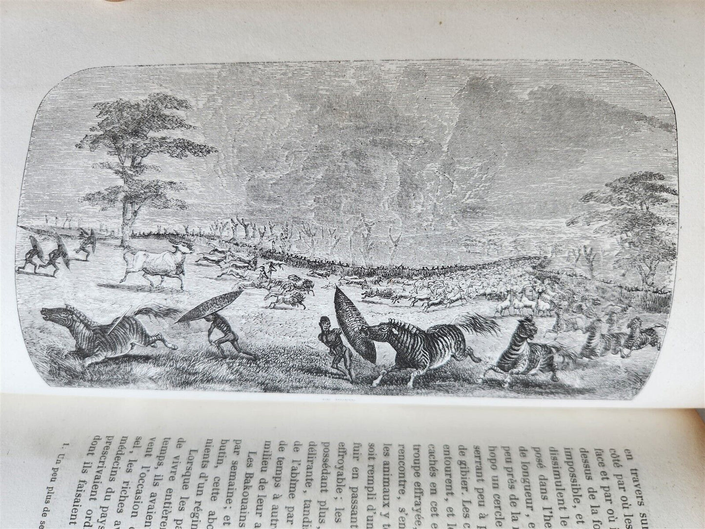 1859 EXPLORATIONS L'AFRIQUE et AUSTRALE LIVINGSTONE VOYAGES antique ILLUSTRATED