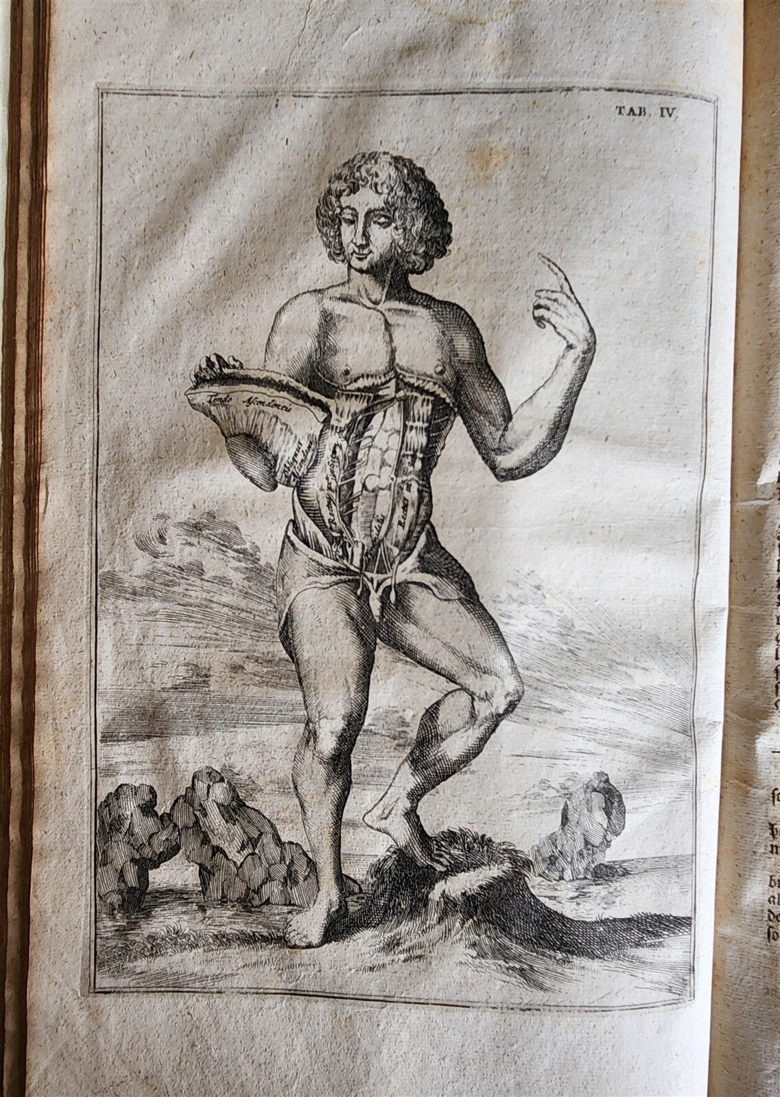 1704 ANATOMY MUSCLE TREATISE antique AMAZINGLY ILLUSTRATED