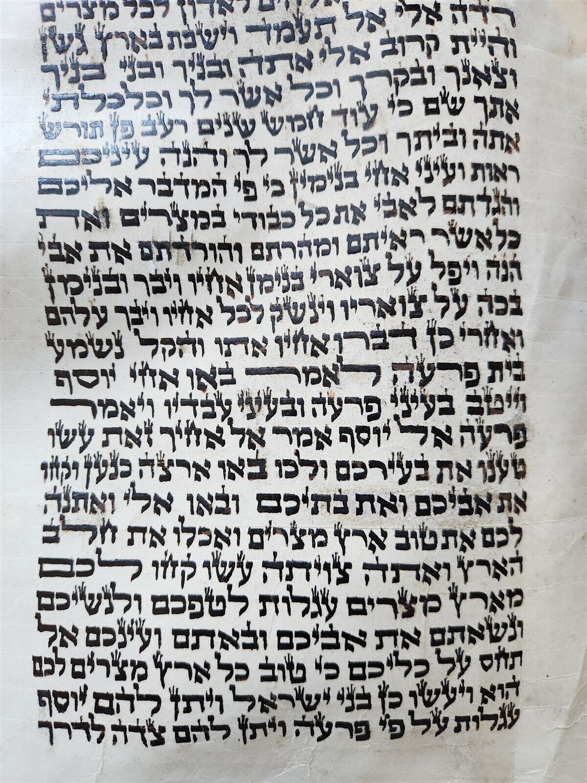 TORAH SCROLL FRAGMENT MANUSCRIPT on VELLUM antique BIBLE GENESIS 44:30-48:5