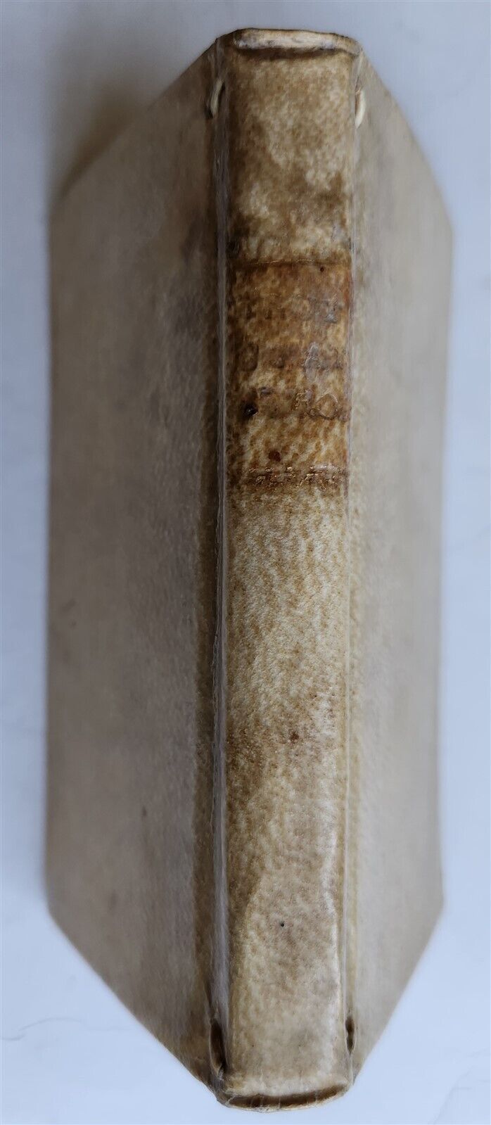 1645 TRUTINA STATUUM EUROPAE antique VELLUM BINDING