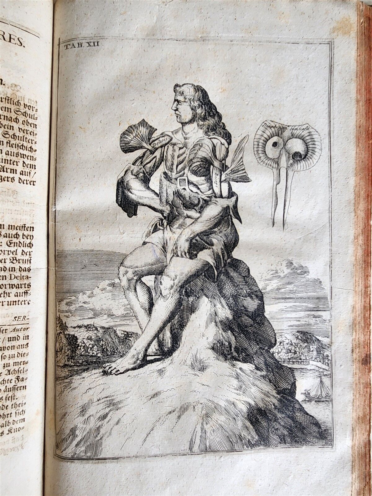1704 ANATOMY MUSCLE TREATISE antique AMAZINGLY ILLUSTRATED