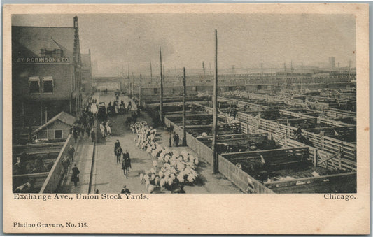 CHICAGO IL UNION STOCK YARDS EXCHANGE AVENUE ANTIQUE POSTCARD