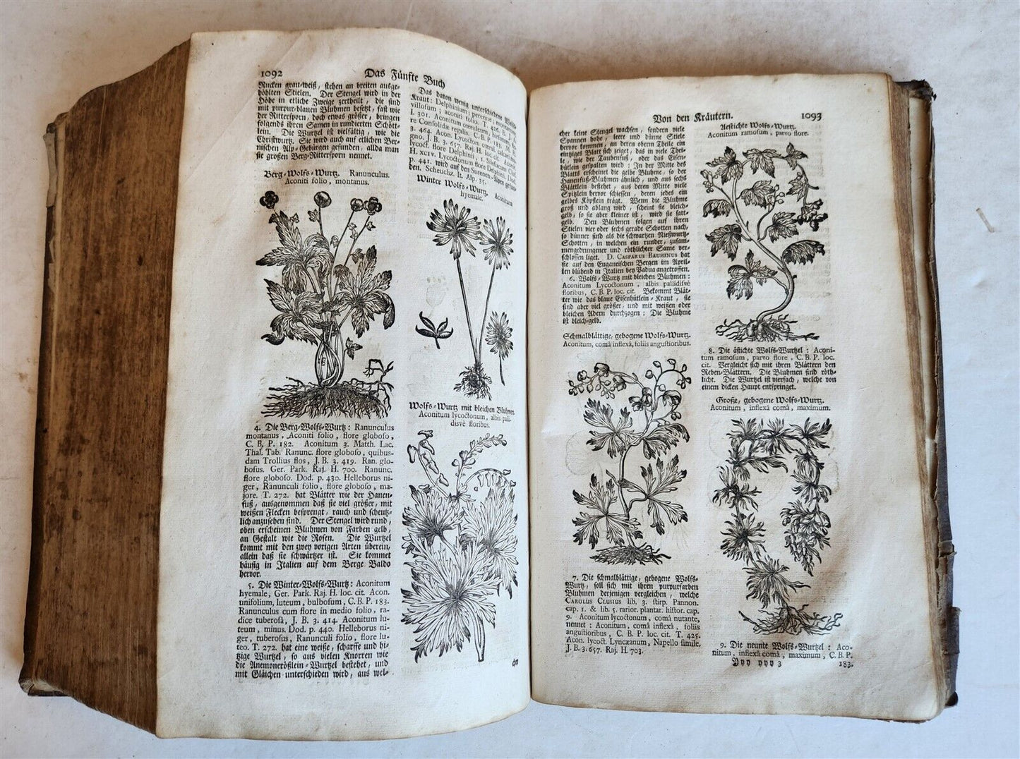 1744 THEATRUM BOTANICUM ILLUSTRATED GERMAN HERBAL antique PIGSKIN BOUND FOLIO