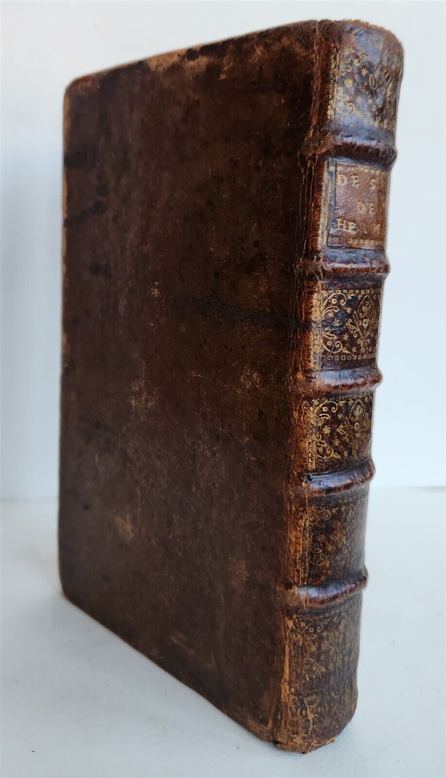1724 DESCRIPTION DE L'ISLE DES HERMAPHTODITES antique