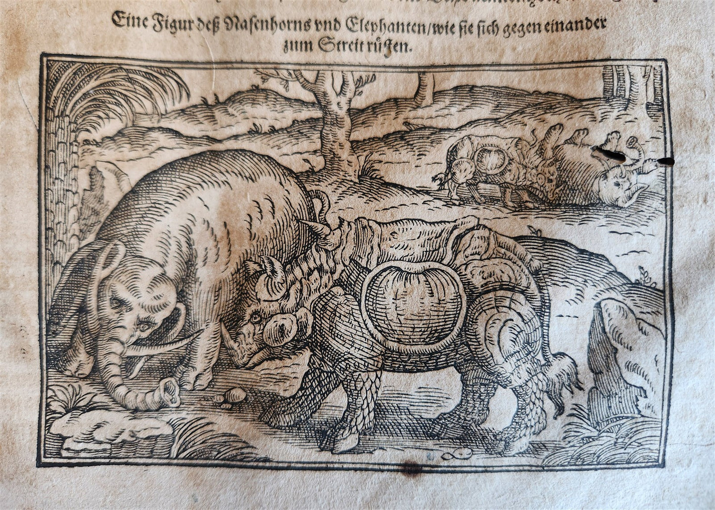 1601 WOUND MEDICINE antique ILLUSTRATED WundArtzney oder Artzney spiegell FOLIO