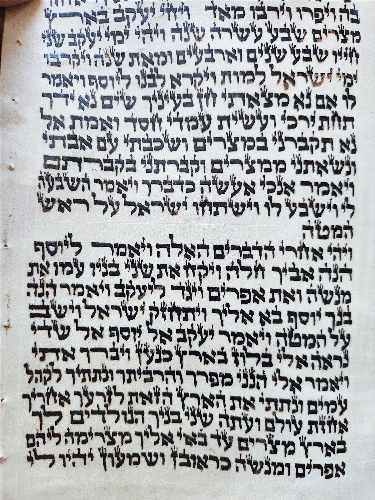TORAH SCROLL FRAGMENT MANUSCRIPT on VELLUM antique BIBLE GENESIS 44:30-48:5