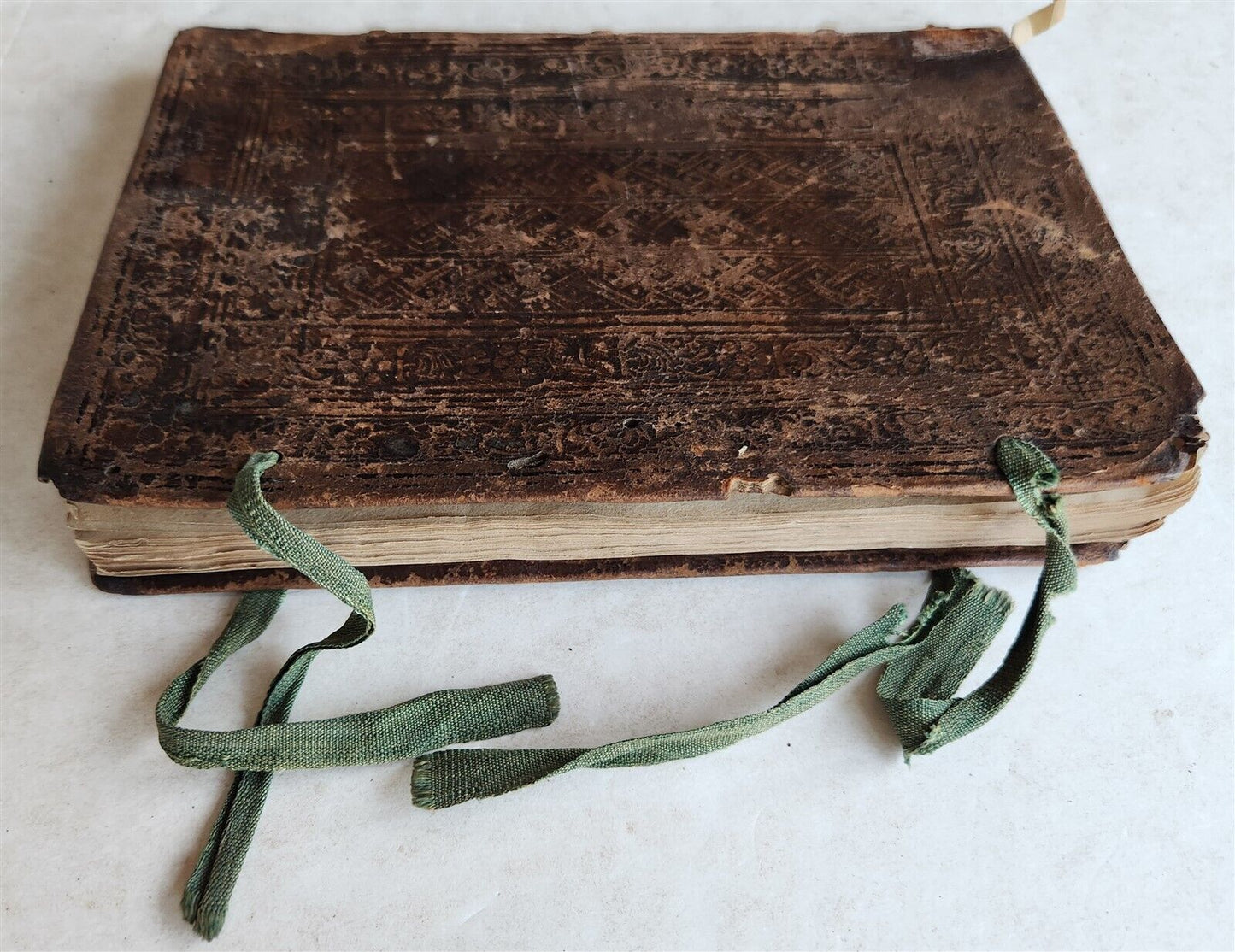 1539 PLATONIC PHILOSOPHY on MEDICINE of BEASTS CATTLE & BIRDS antique 16th CENT.