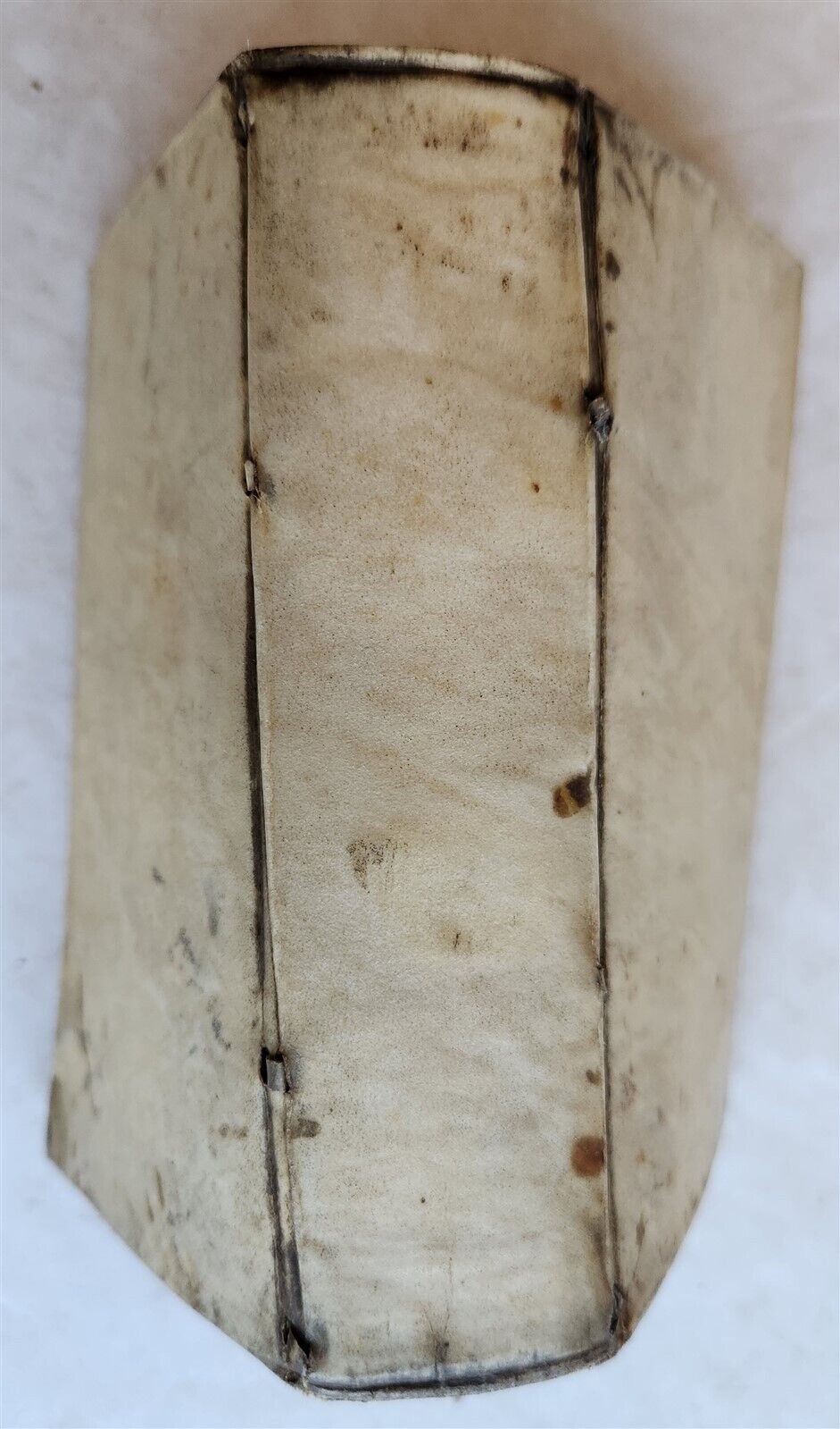 1660 HISTORY of LIFE & ACTIONS of HEROD THE GREAT ANTIQUE VELLUM by C. Noldius