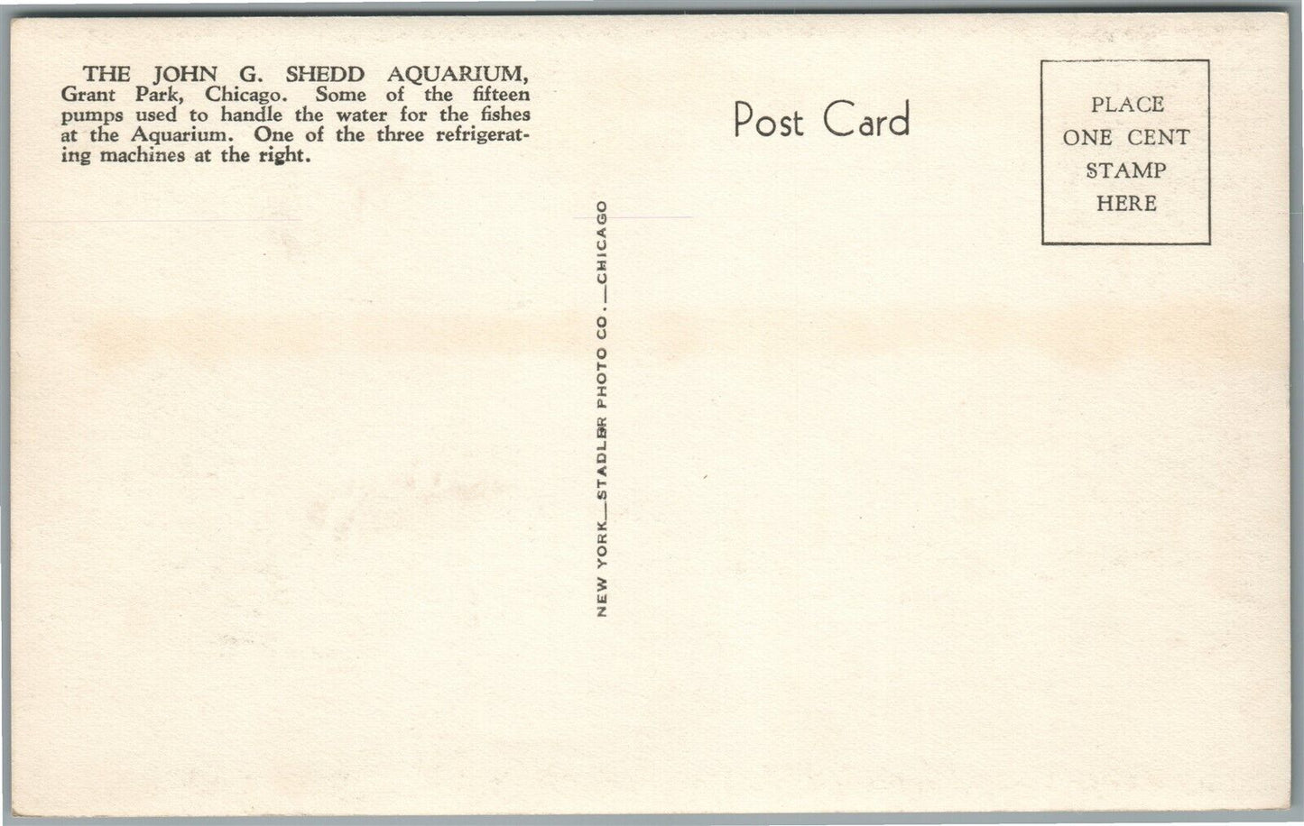 CHICAGO IL GRANT PARK JOHN G. SHEDD AQUARIUM VINTAGE REAL PHOTO POSTCARD RPPC