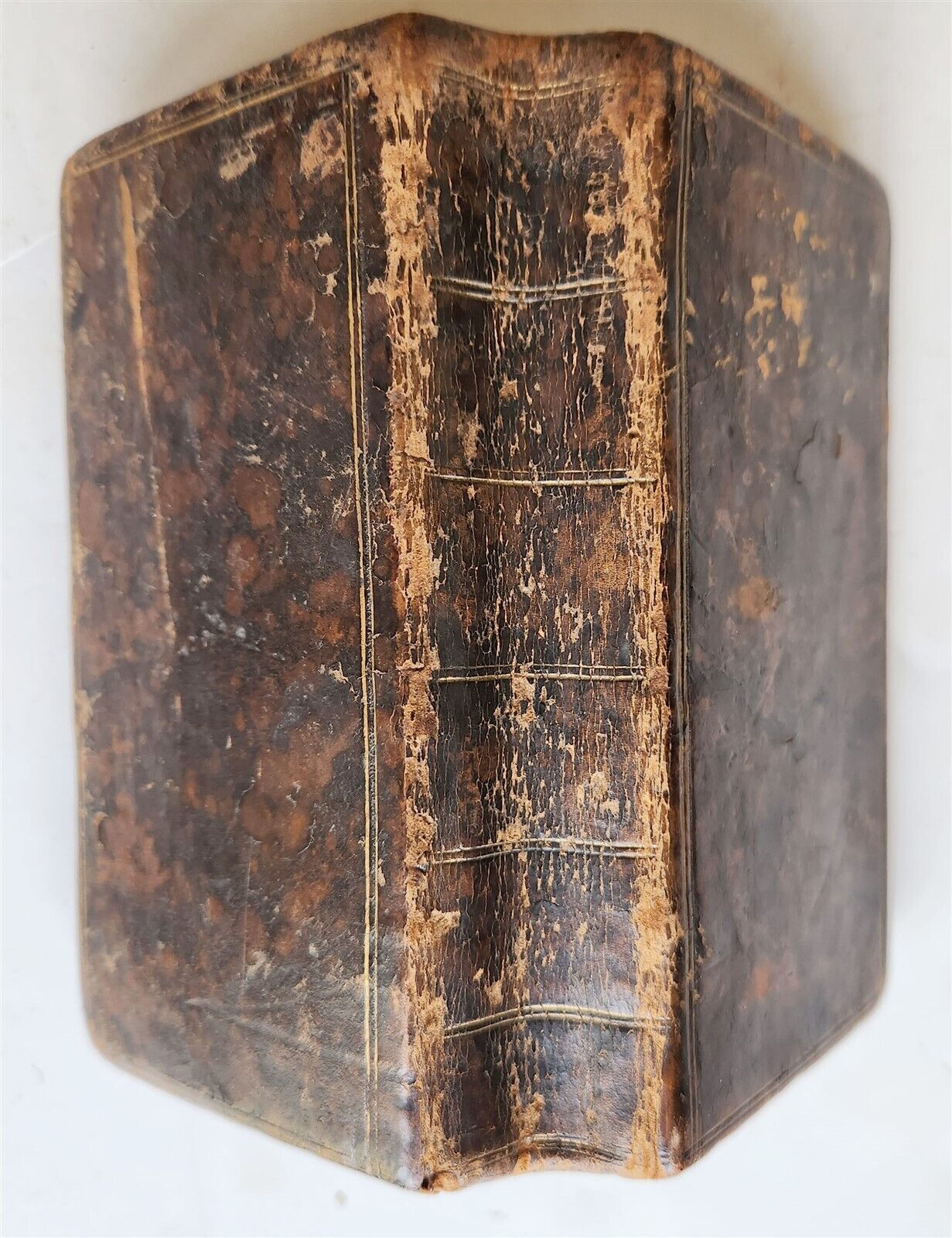 1665 BIBLE IN GREEK ANTIQUE VETUS TESTAMENTUM GRAECUM OLD TESTAMENT