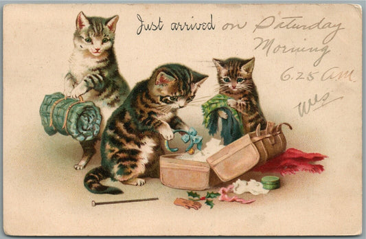 KITTEN PLAYING ANTIQUE POSTCARD