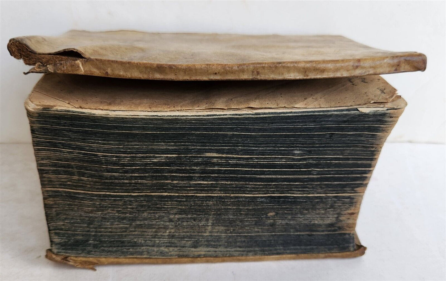 1674 WORLD'S RELIGIOUS SERVICES FULLY ILLUSTRATED antique VELLUM BINDING