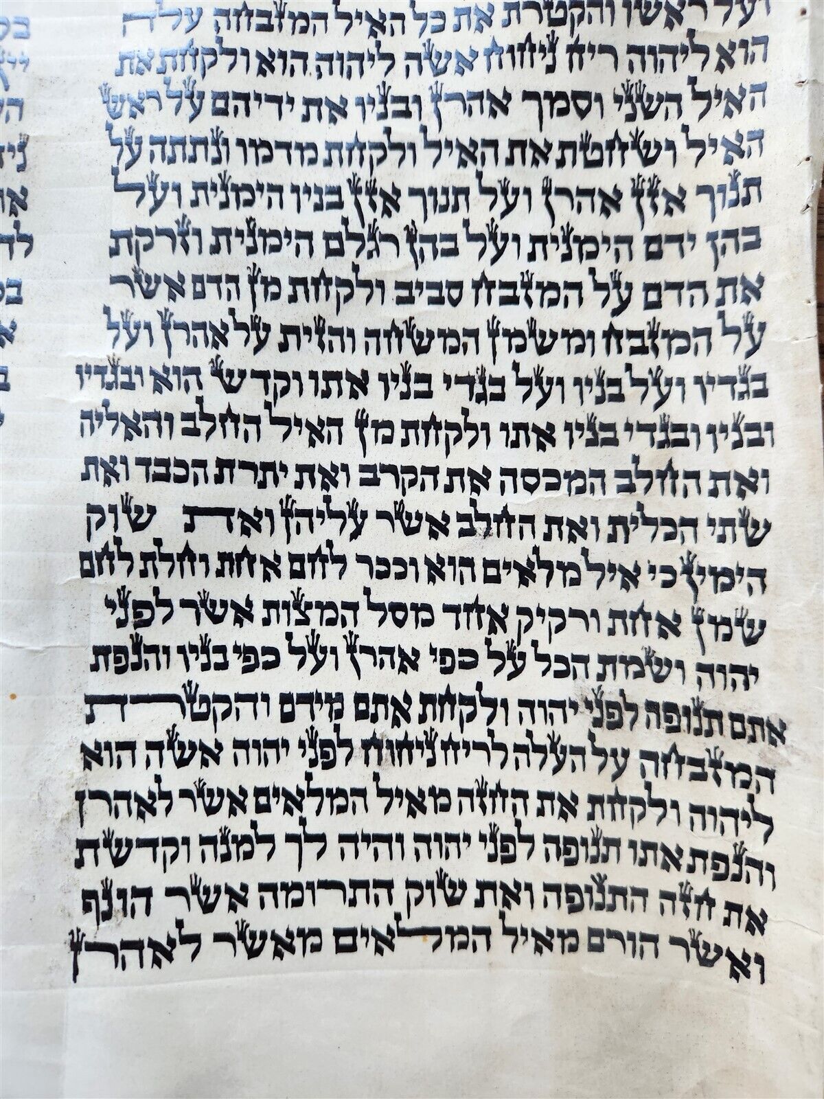 TORAH SCROLL FRAGMENT MANUSCRIPT on VELLUM antique BIBLE EXODUS 29:4-32.2