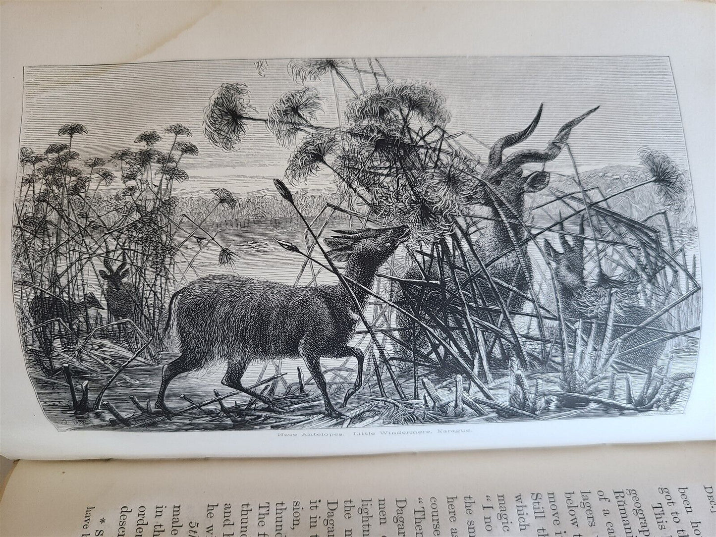 1863 JOURNAL of DISCOVERY of SOURCE of NILE antique ILLUSTRATED in ENGLISH