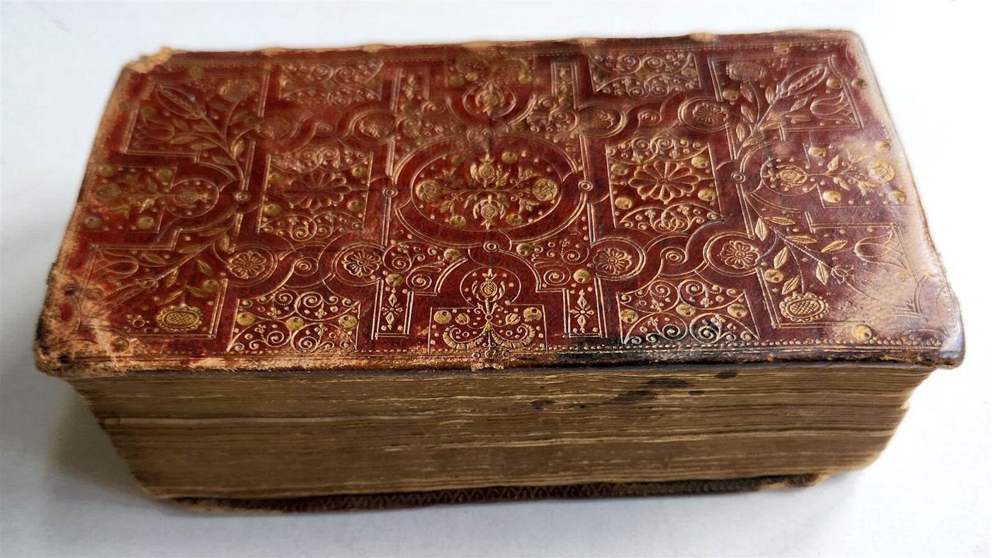 1681 BIBLE in ENGLISH antique FINBE ORIGINAL BINDING Old & New Testament